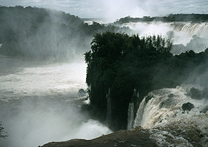 LEICA M6, SUMMICRON 2/50